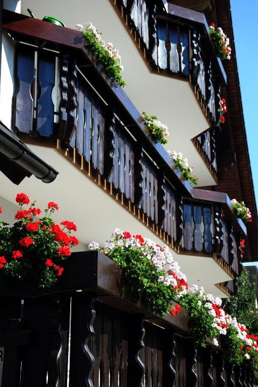 Gasthof Richebaechli Elzach Dış mekan fotoğraf